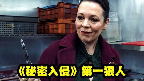 网络吃瓜评论员,揭秘娱乐圈幕后真相